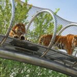 Best Zoos