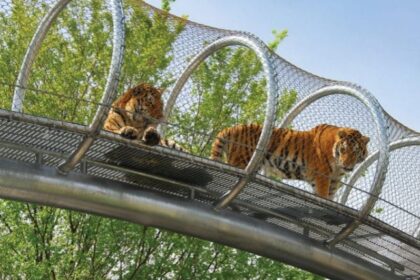 Best Zoos