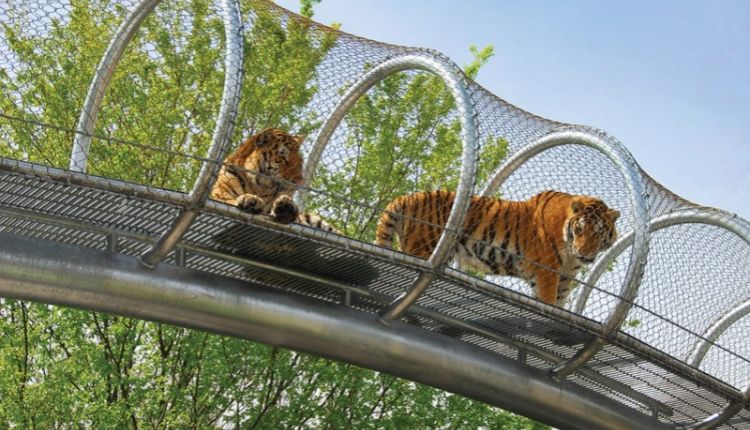 Best Zoos