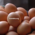 Tuambia Alimentos Huevos