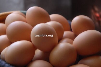 Tuambia Alimentos Huevos