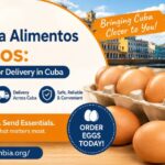 tuambia alimentos huevos