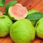 guayaba in english