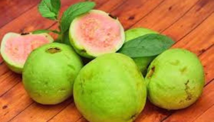 guayaba in english