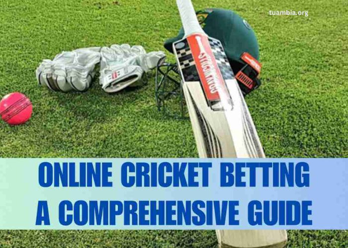 A Complete Guide to Online Cricket Betting for Beginners