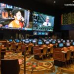 How to Spot and Exploit Betting Trends