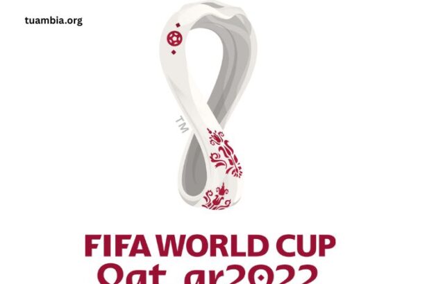 World Cup Results Analyzing Key Matches and Turning Points