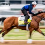 A Beginner's Guide to Preakness Stakes Betting How Odds Matter