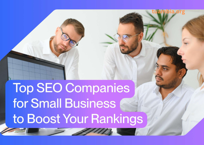Boost Your Brand Now with the Best SEM SEO Company!