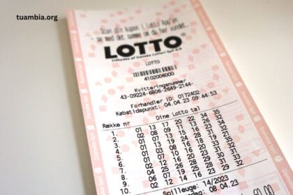 Discover How Toto Lottery Revolutionize Modern Lottery Systems