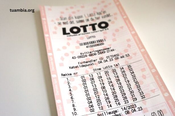 Discover How Toto Lottery Revolutionize Modern Lottery Systems