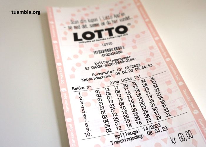 Discover How Toto Lottery Revolutionize Modern Lottery Systems