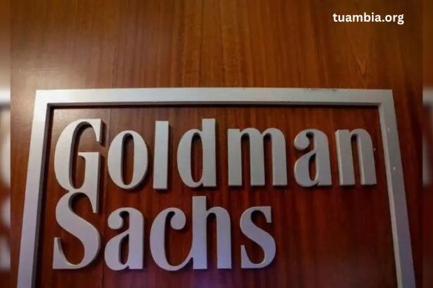 Goldman Sachs Warns of 20% Market Drop Amid Trade Tensions