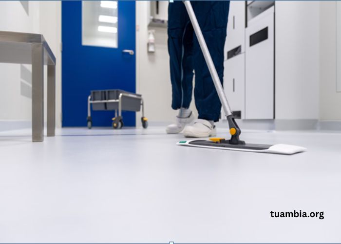 Why Commercial Cleaning Services St Louis Are Key to Business Success