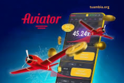 Aviator Signals: Game Changer or Waste of Time? Here’s What I Found