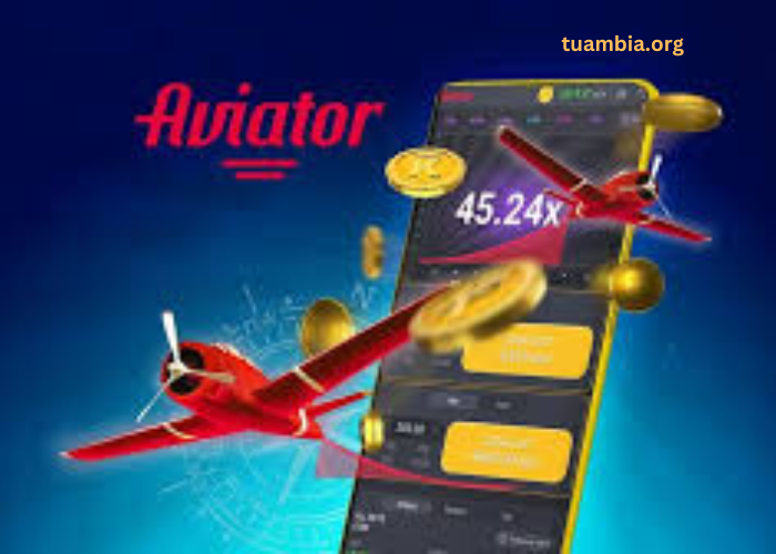 Aviator Signals: Game Changer or Waste of Time? Here’s What I Found