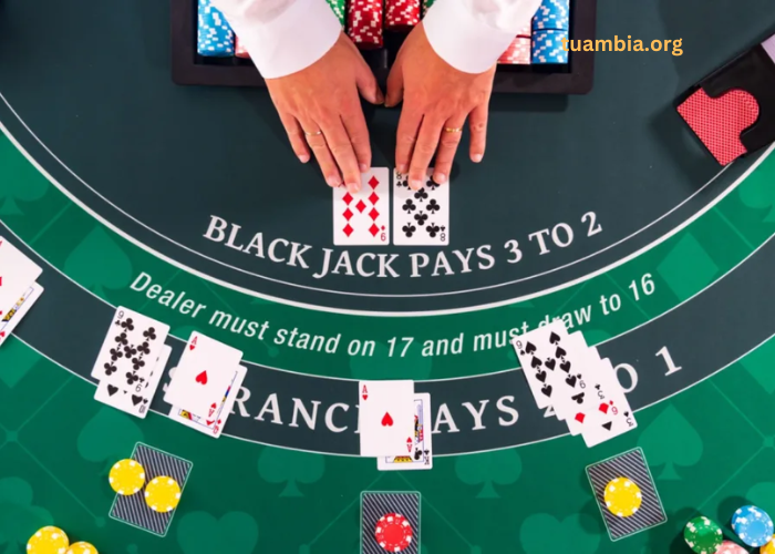 Best Live Blackjack Variants That Kept Me Hooked