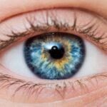 Eyes