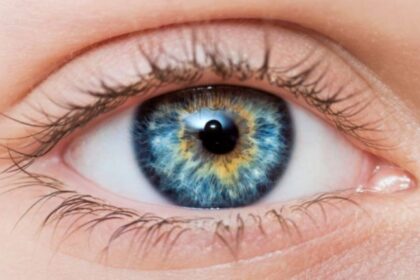 Eyes