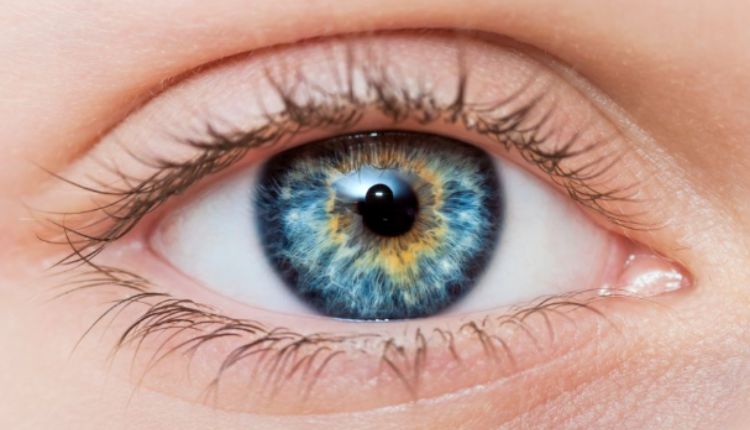 Eyes