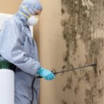 Mold
