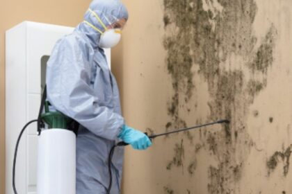 Mold