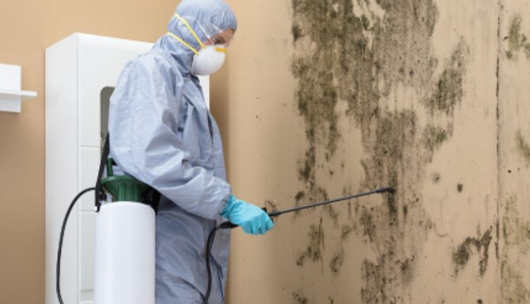 Mold
