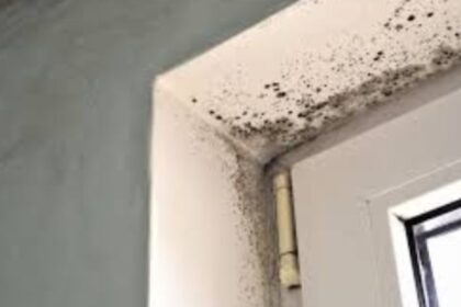 Mold