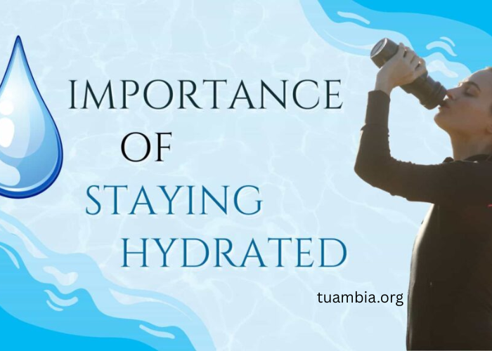 Why Hydration Is Key to Good Health