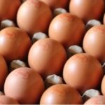 huevos-para-cuba