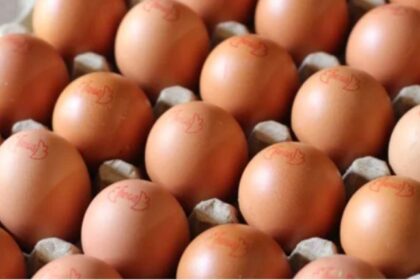 huevos-para-cuba