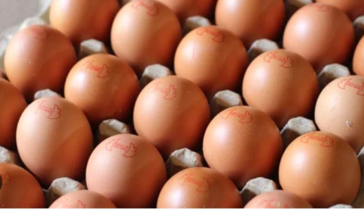 huevos-para-cuba