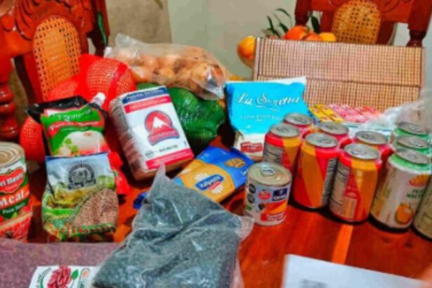 tuambia.com-artemisa