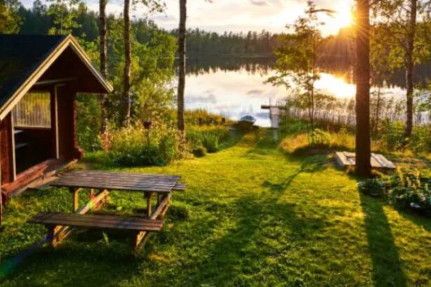 Backyard