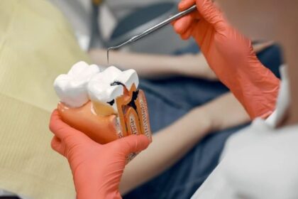 Dental-