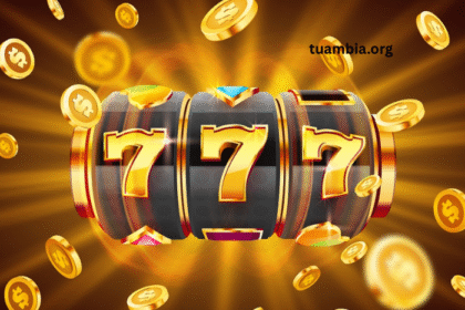Wild Symbols in Slots - Worth Paying Attention to?