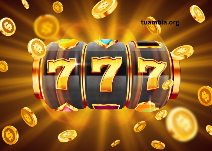 Wild Symbols in Slots - Worth Paying Attention to?