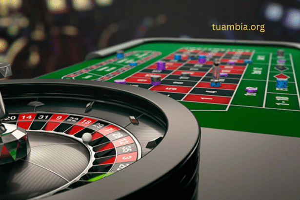 Main Perks of a Frequently Updated Casino