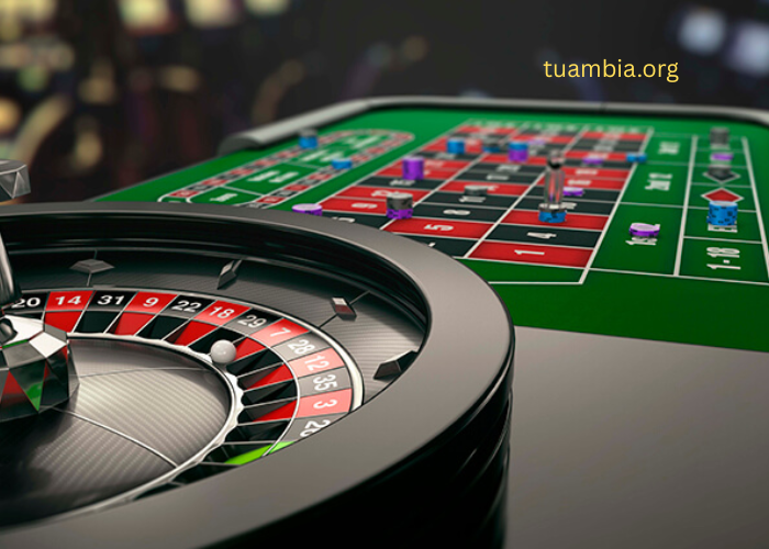 Main Perks of a Frequently Updated Casino