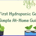 Hydroponic