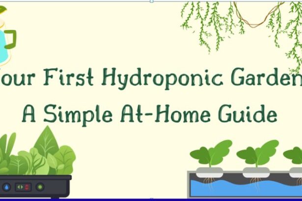 Hydroponic