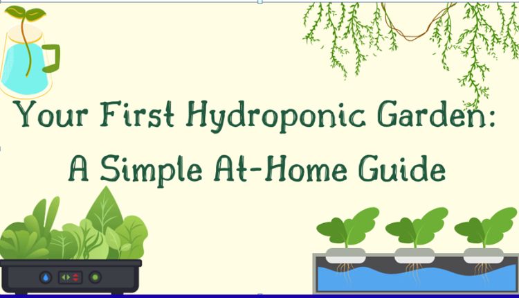 Hydroponic