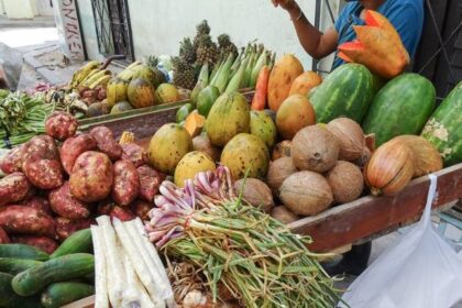 productos-de-cuba