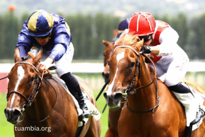 The Evolution of Turf Racing Around the World