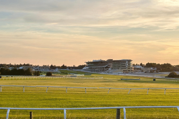 Inothewayurthinkin leads early market for 2026 Cheltenham Gold Cup