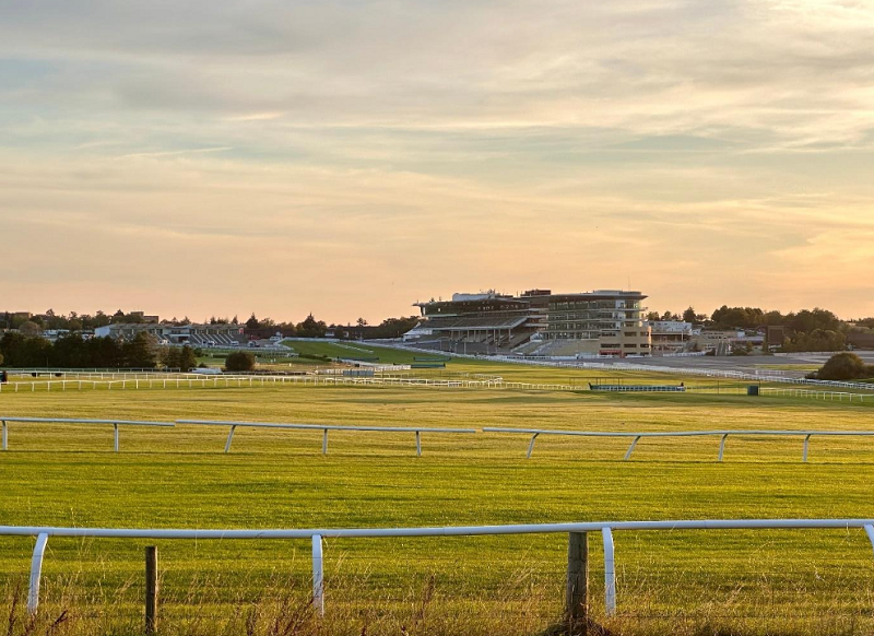 Inothewayurthinkin leads early market for 2026 Cheltenham Gold Cup