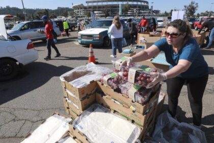 cardenas market cerca de mi