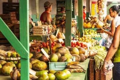 mallhabana alimentos