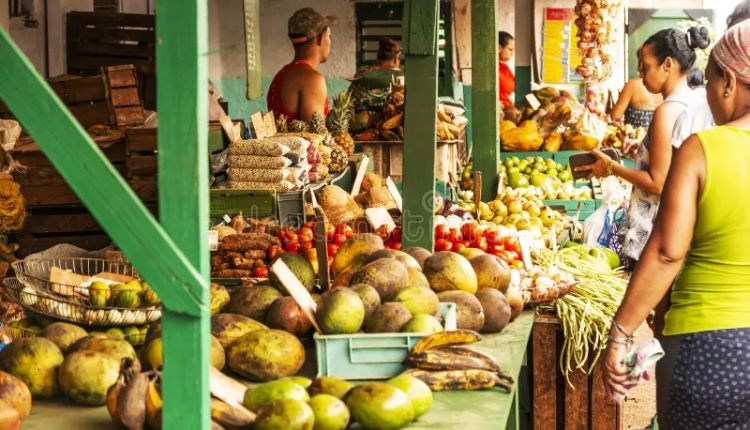 mallhabana alimentos