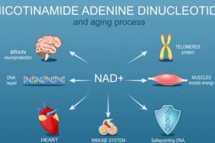 Nicotinamide